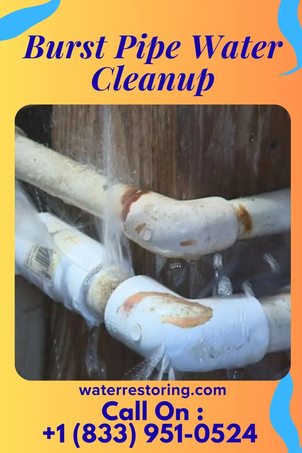 Burst Pipe Water Cleanup in Sullivan Gardens, TN