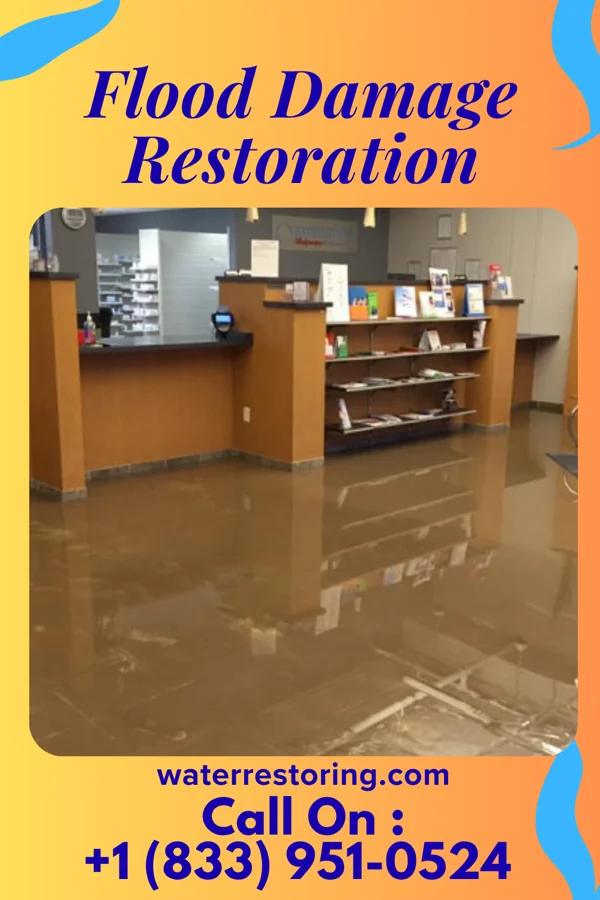 Flood Damage Restoration in Sullivan Gardens, TN