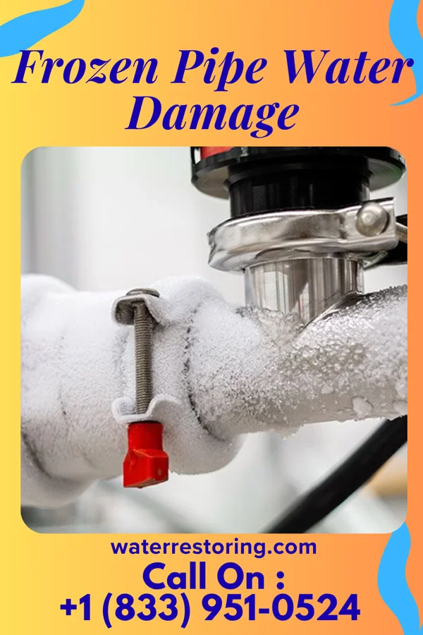 Frozen Pipe Water Damage in Sullivan Gardens, TN