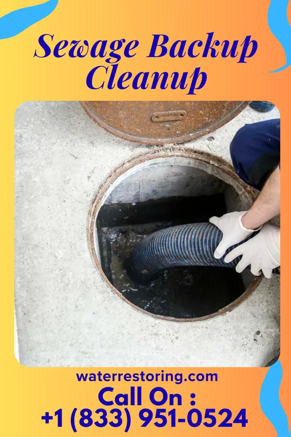 Sewage Backup Cleanup in Sullivan Gardens, TN
