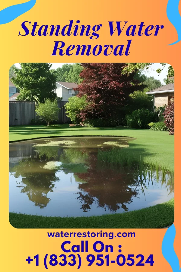 Standing Water Removal in Sullivan Gardens, TN